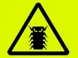 Millennium Bug