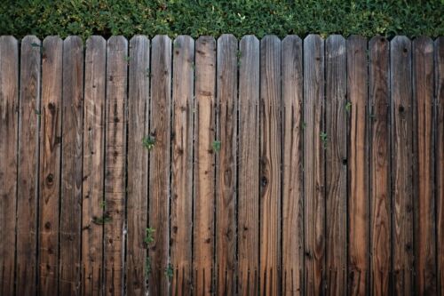Fence 