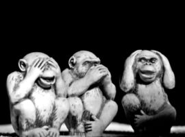 Three wise monkeys