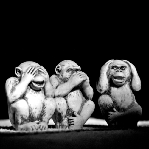 Three wise monkeys 